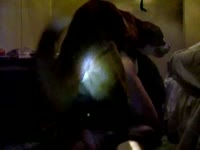 Slut got banged and pounded in the dark by dog